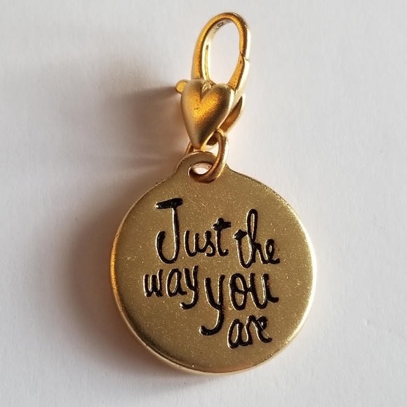 Amanda Blu Autism Puzzle Piece just the way you are clip charm - Picture 3 of 8